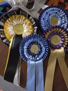 Match Show 03.08.2025