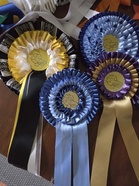 Match Show 03.08.2025