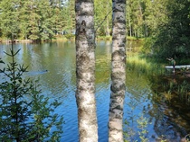 Marjukka ja Muru